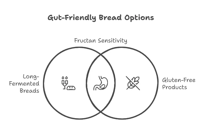 The Gut-Friendly Guide to Ciabatta & Beyond: Understanding Fructans, Gluten, and Your Digestive Health