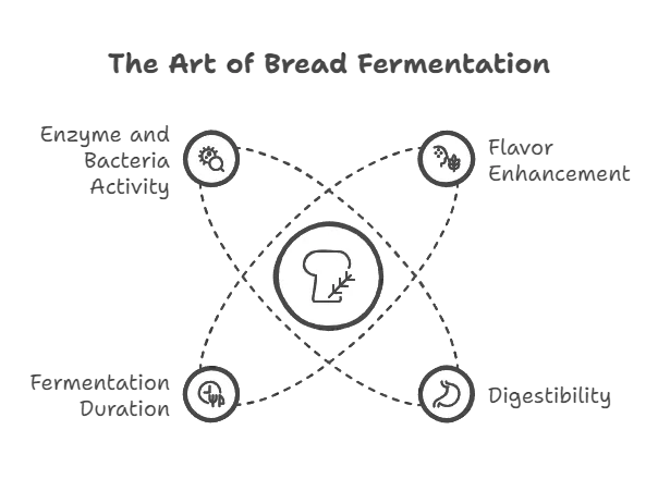 The Science and Soul of Ciabatta: A Baker’s Guide to Healthier Bread